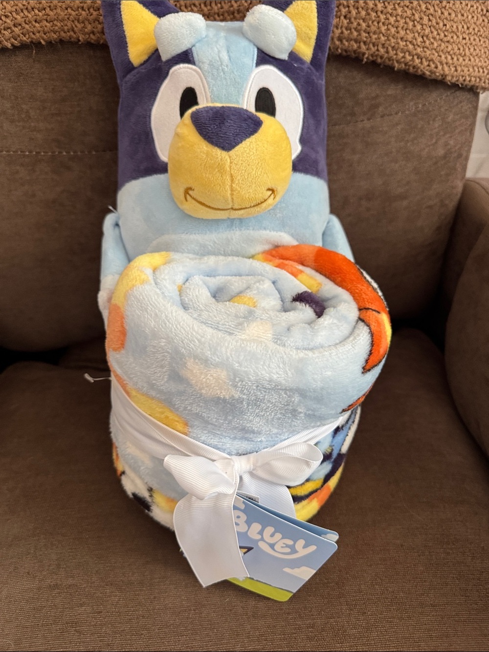 Bluey Plush Roll Blanket - Blue and Yellow Cozy Throw